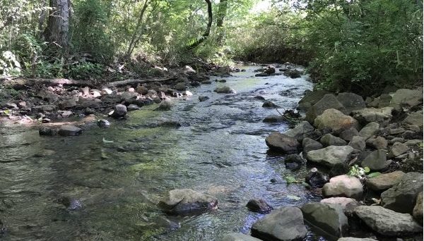 非電化工房キャンプ場